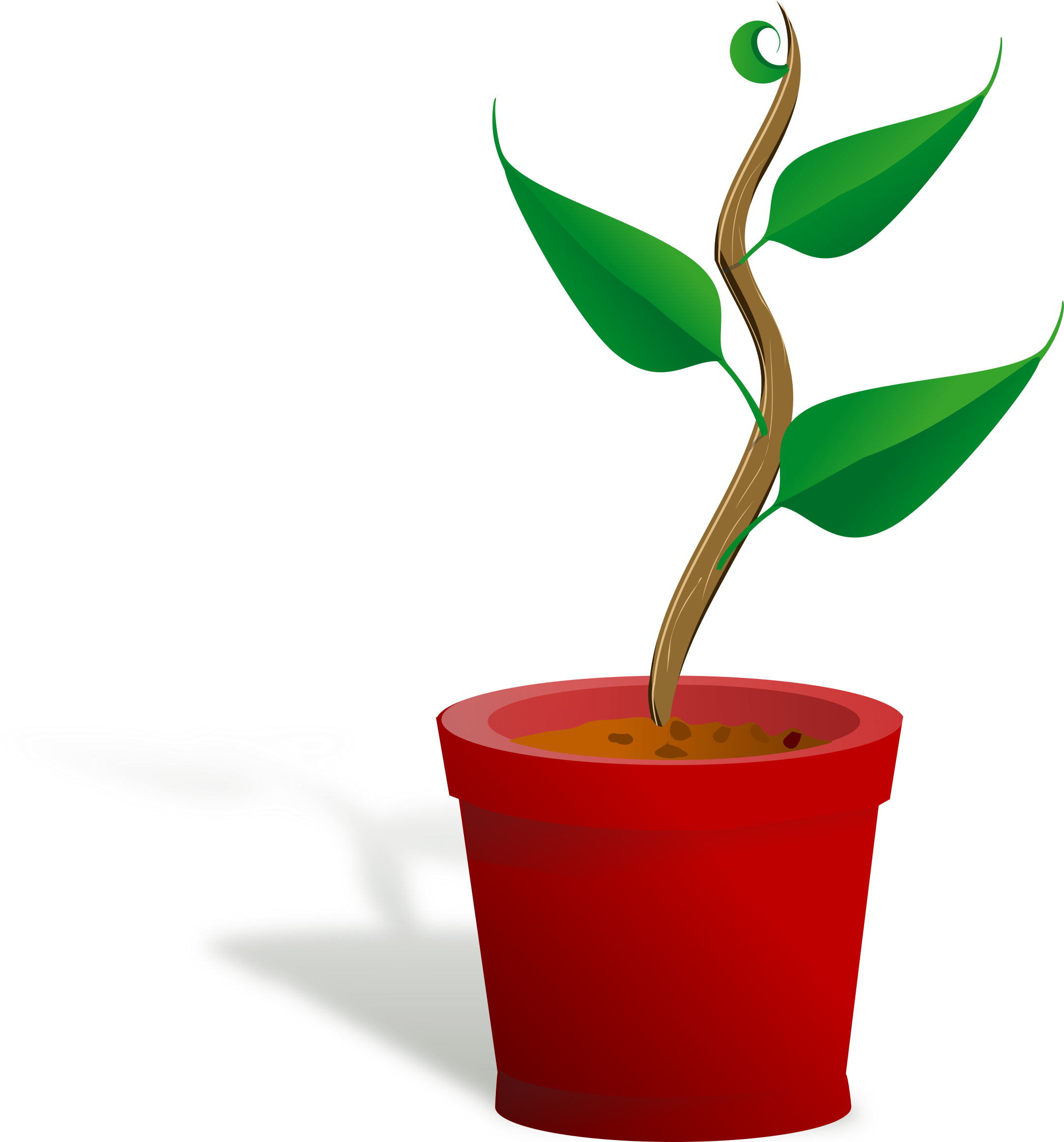 Png Freeuse Download Clipart Growing Big Image Png - Getting To Know Plants (2400x2322), Png Download