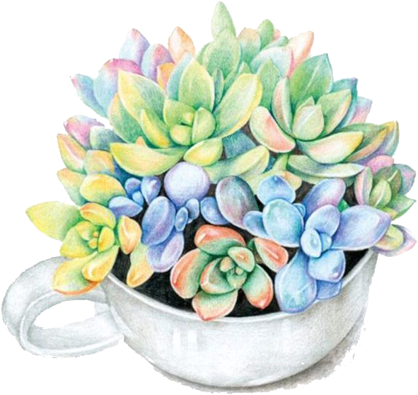 Paper Colored Pencil Succulent Plant Watercolor Painting - Flower Pot Png Paper (700x910), Png Download