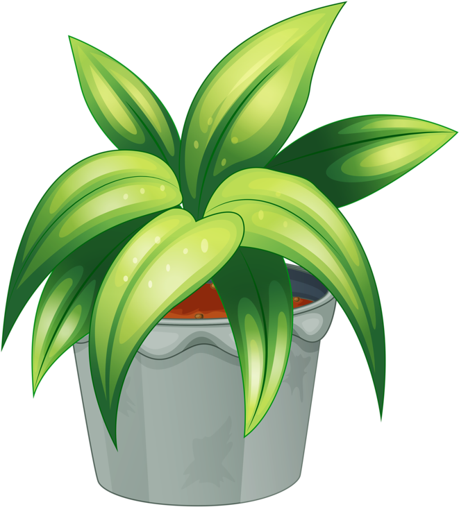 Pot Plant Clipart Botany - Flowering Plant And Non Flowering Plant (747x800), Png Download