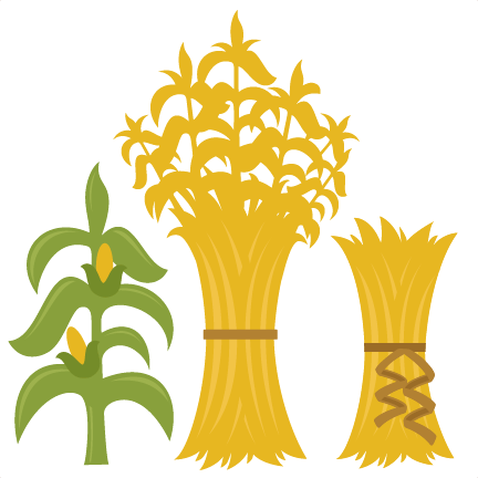 Corn Stalks Svg Cutting Files For Scrapbooking Fall - Fall Corn Stalks Clip Art (432x432), Png Download