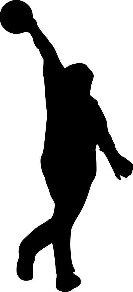 Png File Size - Bowling Silhouette (467x1024), Png Download