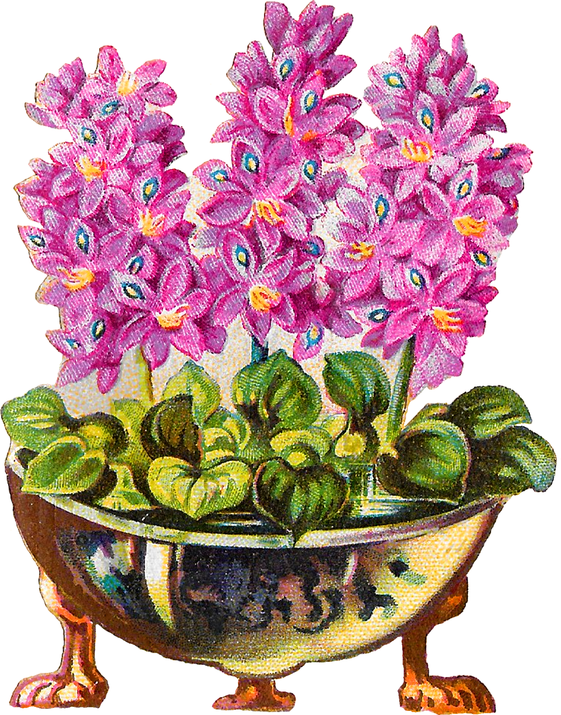 Flower Pot Plant Vintage Clipart Illustration Botanical - Illustration (1099x1400), Png Download