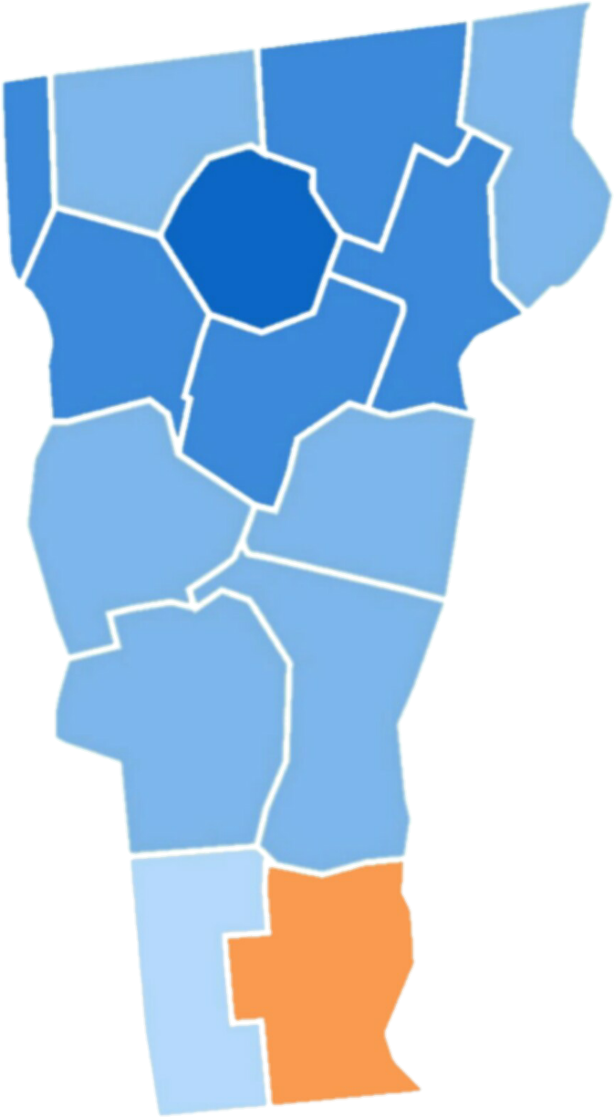 Vermont Gubernatorial Democratic Primary, 2018 - House Of Representatives Election 1990 Vermont (753x1284), Png Download
