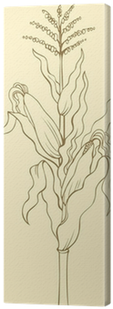 Corn Stalk, Leaves, Ears And Seeds Canvas Print • Pixers® - Sketch (400x400), Png Download