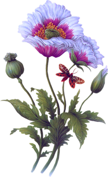 Painting (368x600), Png Download