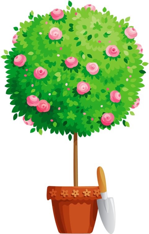Flower Pot Png Tree Pinterest Clip Art - Flower Pot Clipart Png (514x800), Png Download