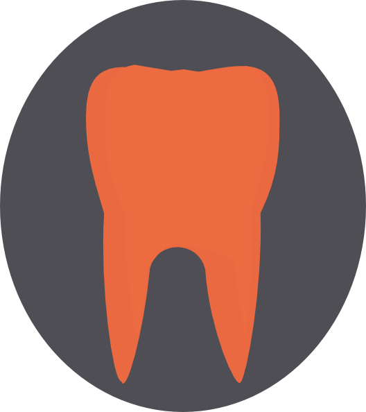 Tooth (528x594), Png Download