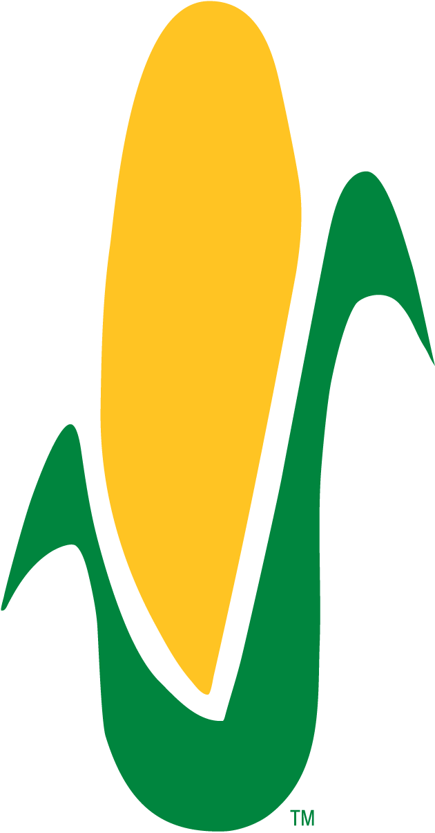 Corn Stalk Coloring Page - Color (630x1204), Png Download