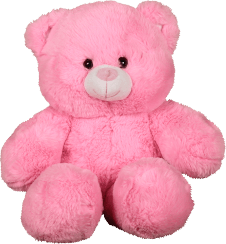 15" Elf - Teddy Bear (466x501), Png Download