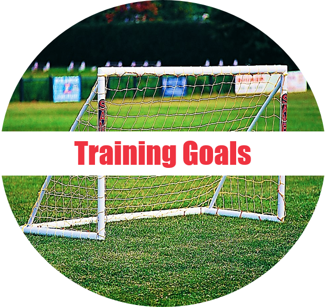 Shop Samba Training Goals - Samba 8 X 4 Fun Junior Football Goal Locking (635x598), Png Download