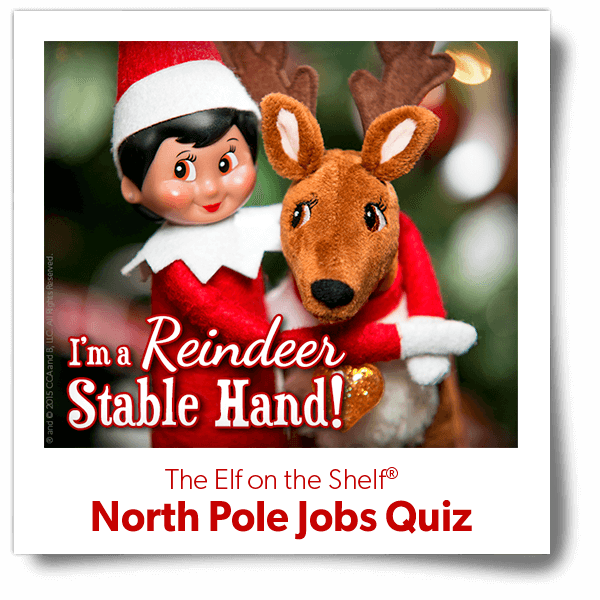 Animal - Elf On The Shelf North Pole Jobs (600x600), Png Download