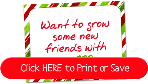 35 New Elf On The Shelf Ideas Fun, Creative & Easy - Arvore (500x300), Png Download