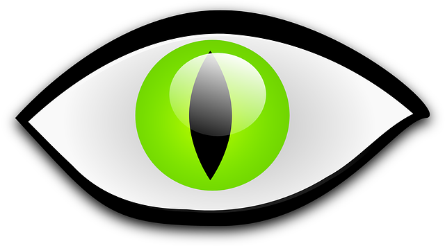 Eye, Reptile, Cat's-eye, Cat Eye, Cat, Green, Iris - Cat Eye Clip Art (640x355), Png Download