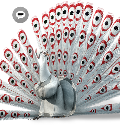 Lord Shen - Kung Fu Panda Pavao (400x560), Png Download