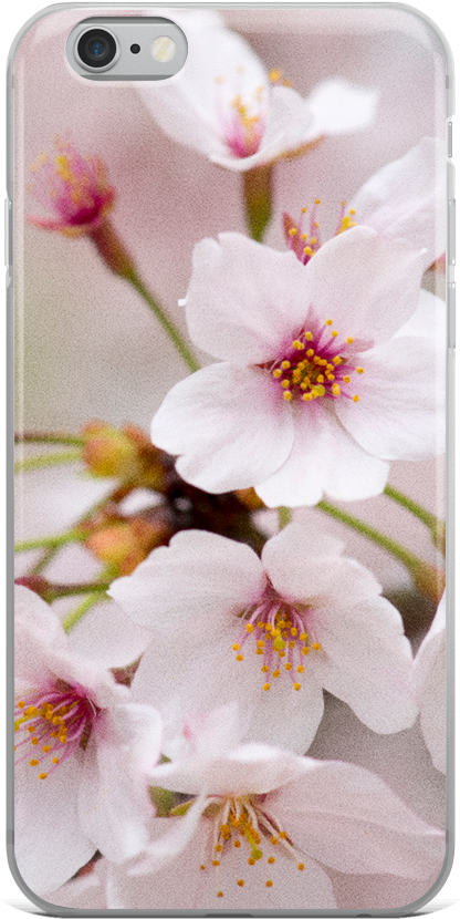 Ablyth Iphone Case, Travel Japan Series - Cherry Blossom (1000x1000), Png Download
