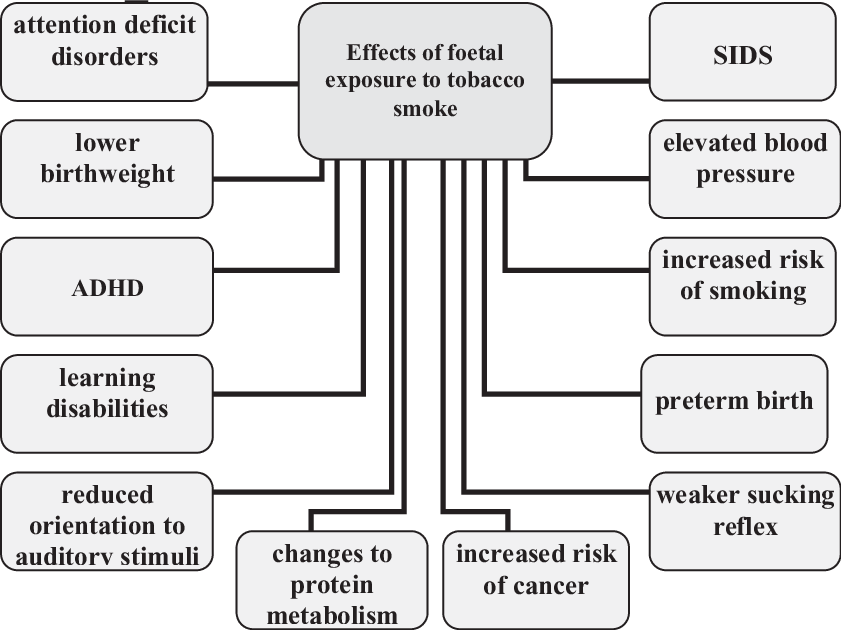 The Effects Of Fetal Exposure To Constituents Of Tobacco - Number (841x630), Png Download