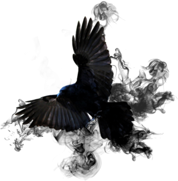 Unique Pictures Effects Of Smoking Crow Smoke Png By - Bruno Schulz Nowy Lepszy Człowiek (400x400), Png Download
