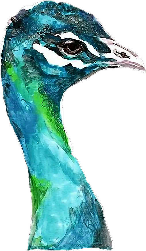 Report Abuse - Watercolor Painting (508x872), Png Download