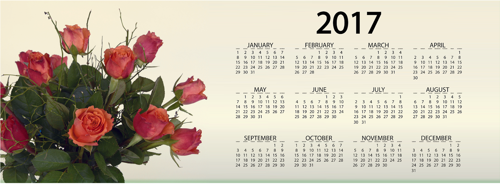 Happy New Year 2017 Facebook Cover Pics - Happy New Year 2017 Calendar (1600x754), Png Download
