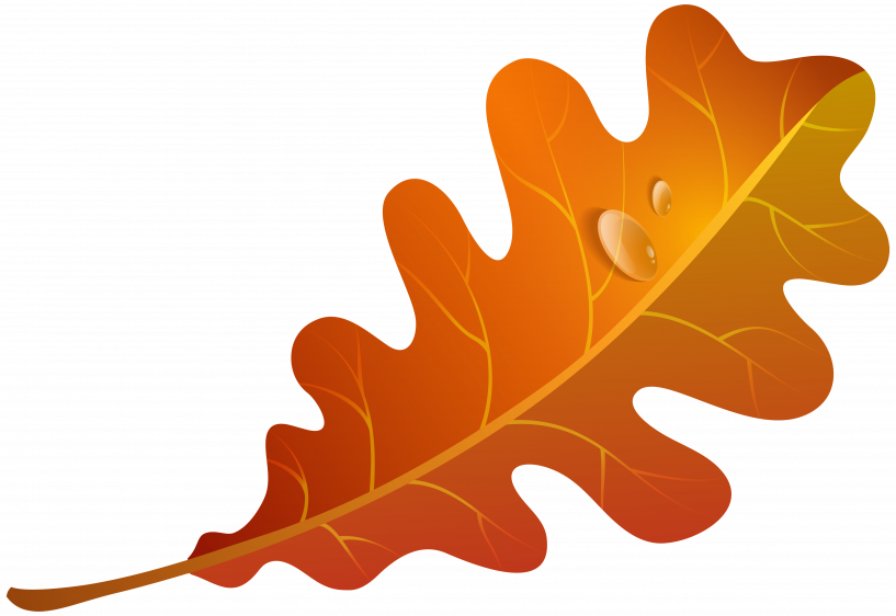 Autumn Leaf Clipart (817x562), Png Download