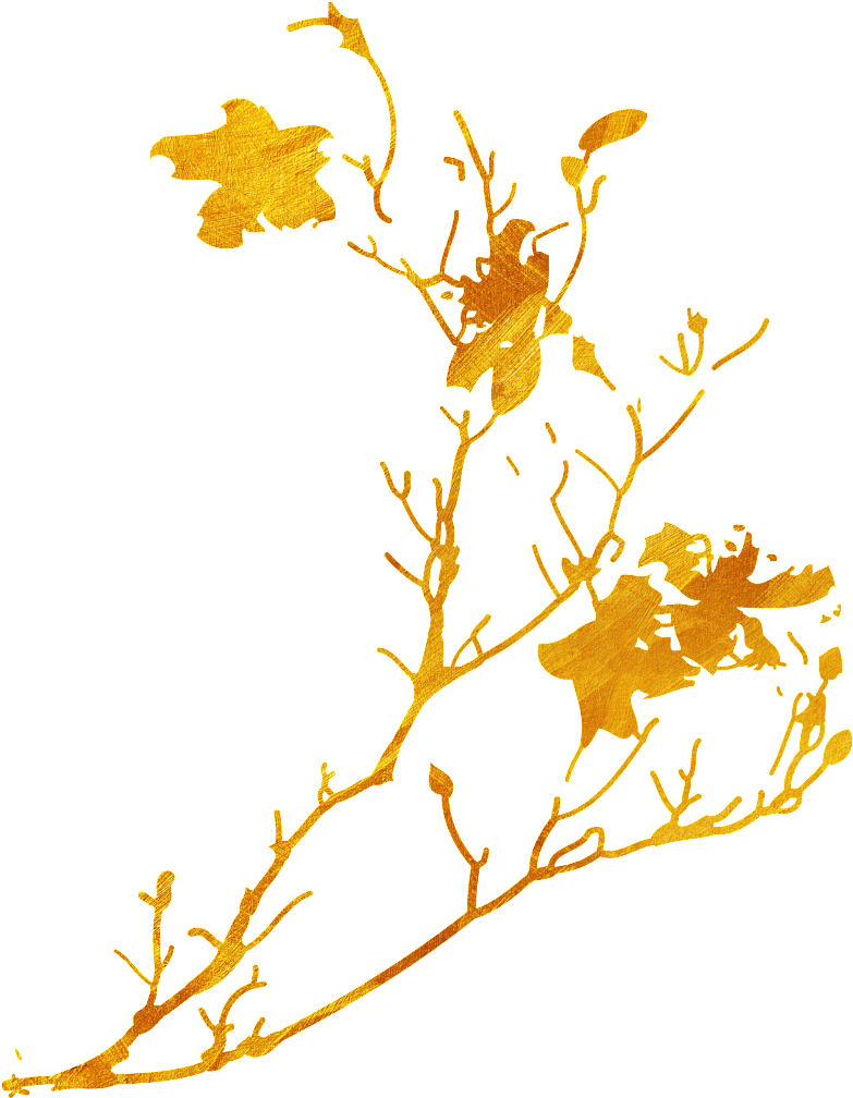 Maple Leaf Png - Portable Network Graphics (1024x1024), Png Download