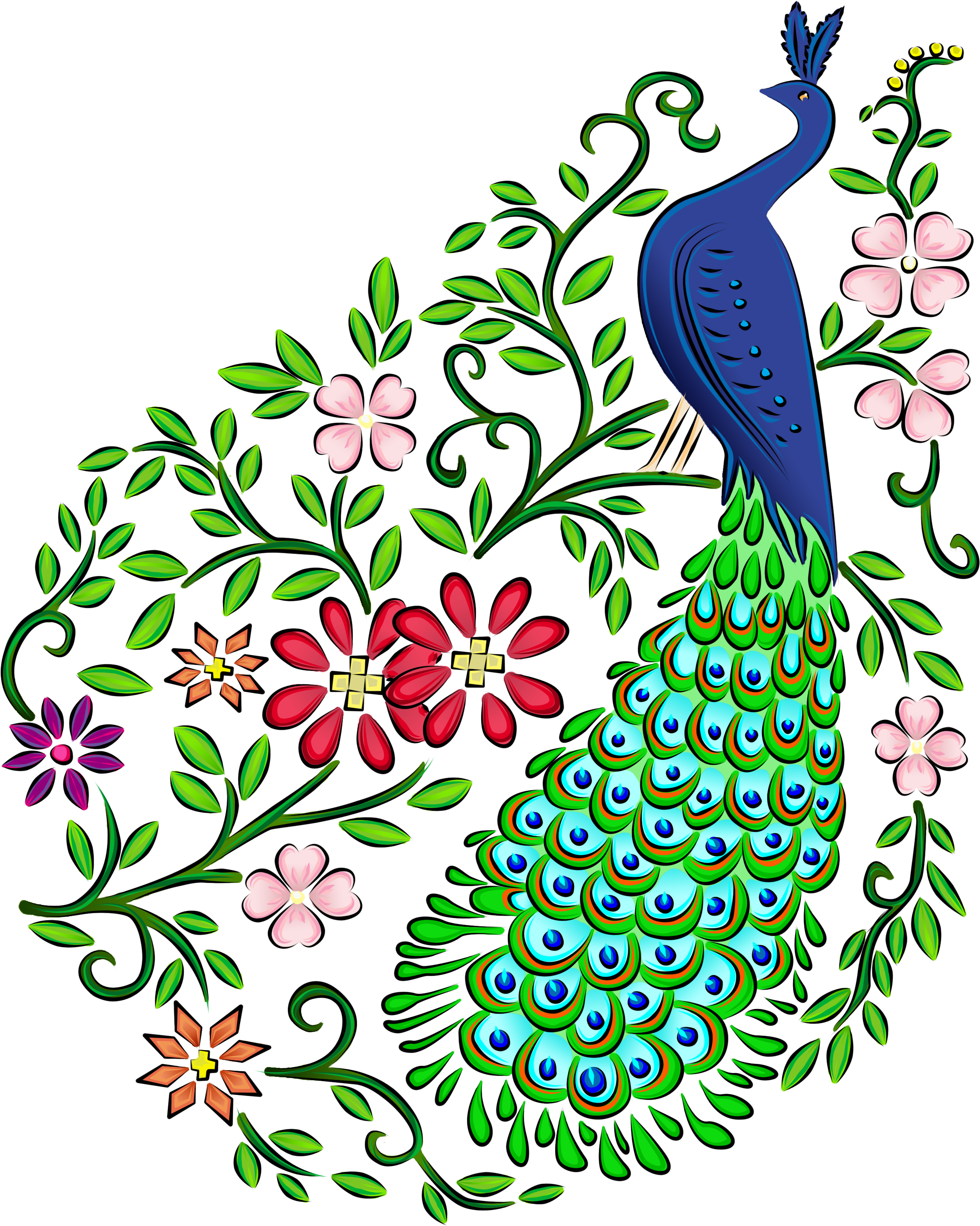 Peacock - Drawing Of A Beautiful Peacock (2736x3648), Png Download