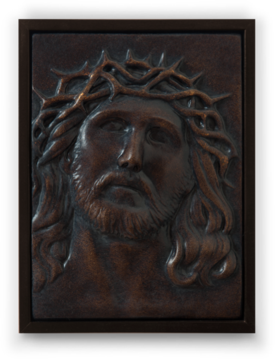 Crown Of Thorns (552x720), Png Download