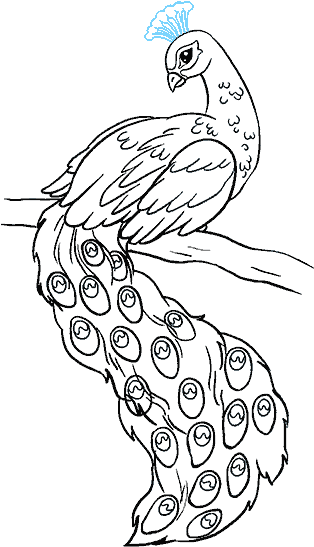 How To Draw A Peacock In A Few Easy Steps - Easy Drawing Of Peacock (678x600), Png Download