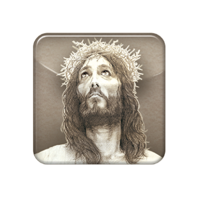 The Crown Of Thorns App - Christ Banner - Green Backing (562x455), Png Download