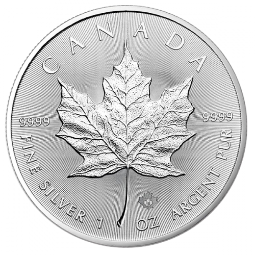Maple - Maple Leaf Privy Panda (500x500), Png Download