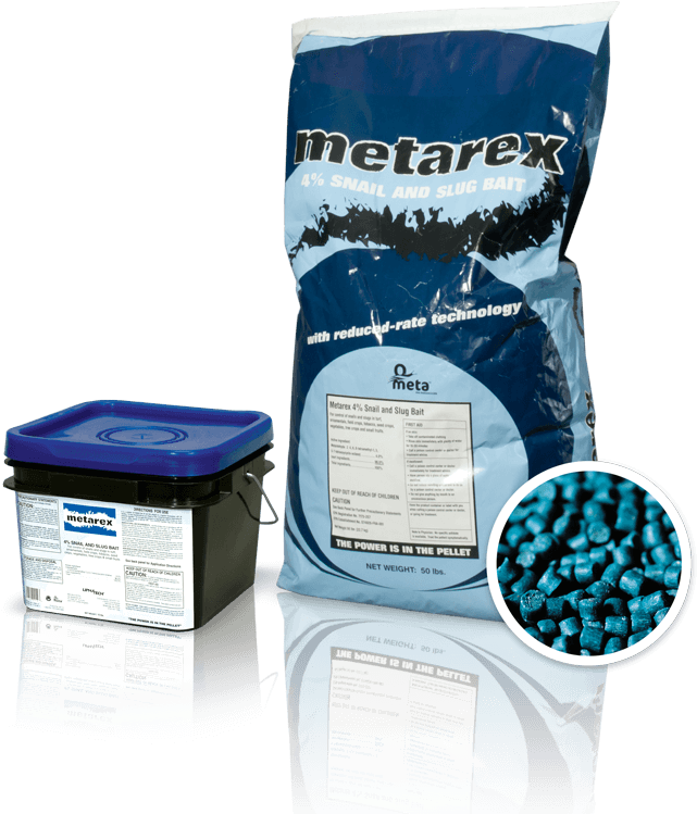 Slug & Snail Markets - Box (1024x768), Png Download