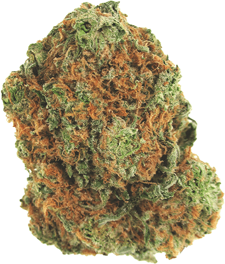 Sugar Cookie Hybrid Cannabis Strain - Sugar Cookie (600x750), Png Download