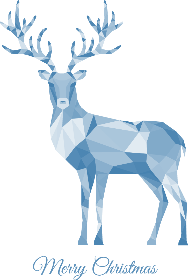Christmas Deer - Christmas Card With White Reindeer (726x1082), Png Download