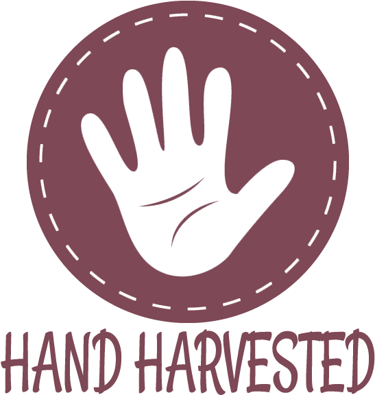 We Will Ship It Separately In 10 To 15 Days - Sign (560x600), Png Download