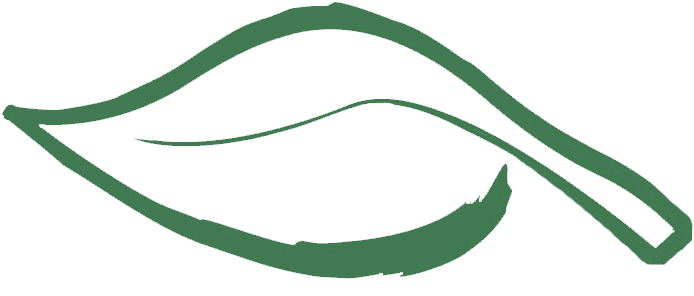 Eco Montana Logo - Ecomontana (817x401), Png Download