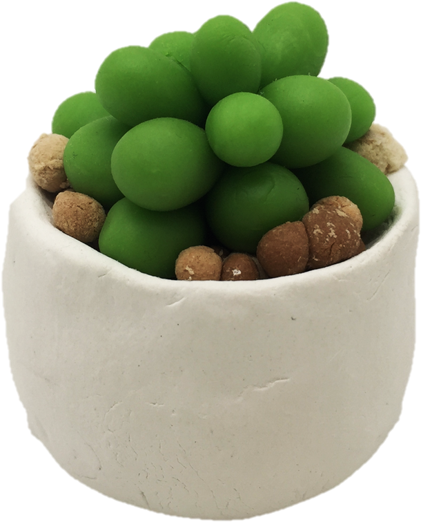 11 Colors Educational Creativity Slime Modeling Foam - Houseplant (1003x979), Png Download