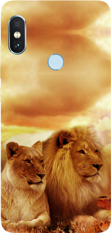 Lion Couple Printed Case Cover For Redmi Note 5 Pro - Lions Kings Of The Jungle 2018 (1000x1000), Png Download