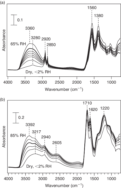 Download - Fourier-transform Infrared Spectroscopy (469x731), Png Download