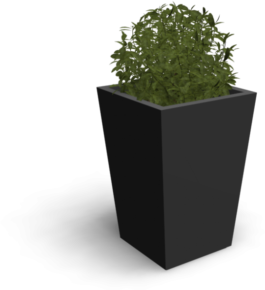 Indoor Plant - Flowerpot (1000x1000), Png Download