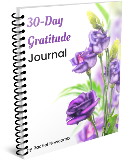 Smart Mom Gratitude Journal Bonus 30-day Gratitude - Gratitude Journal (545x600), Png Download