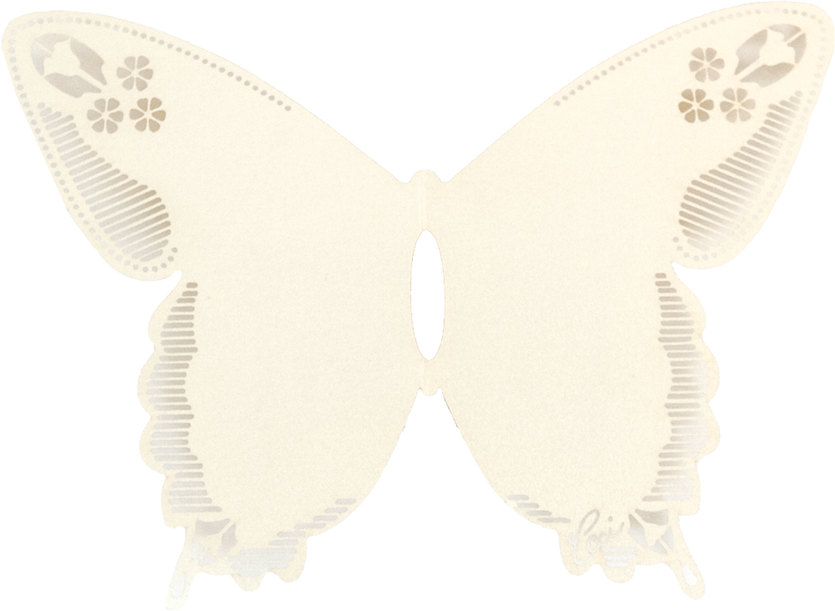 Butterfly (1200x1200), Png Download