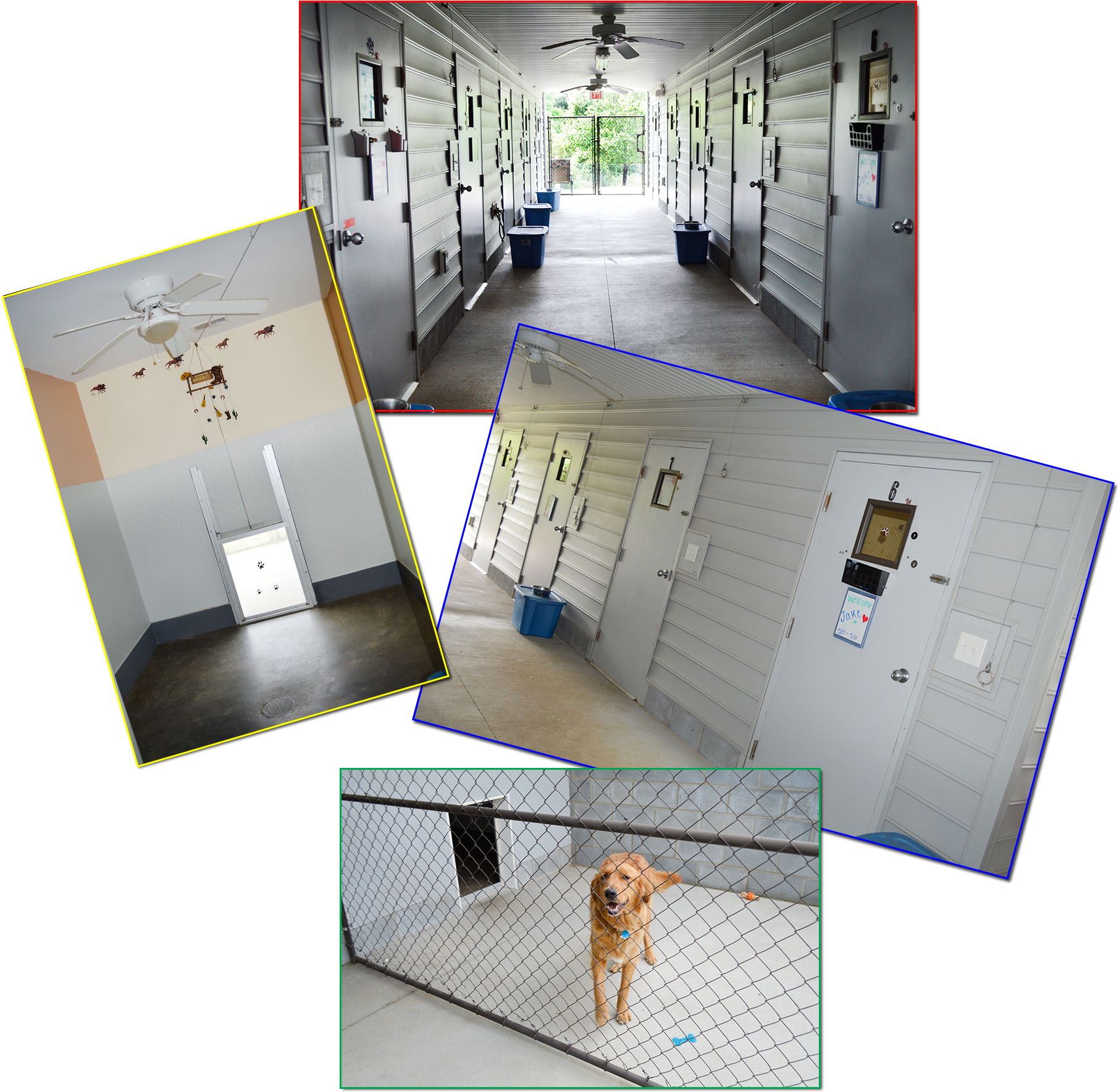 Welcome To Paws On The Plaza, Where We're As Crazy - Floor (1880x1936), Png Download