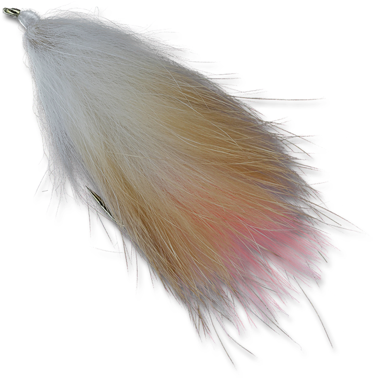 Drifting Carcass - - Bait Fish (800x800), Png Download