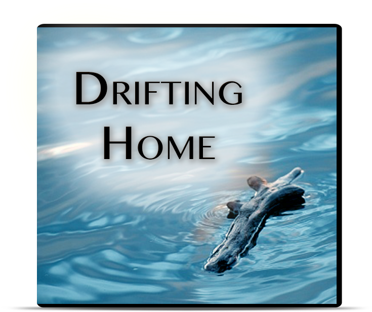 Drifting Home - Piece Of Driftwood In Water (740x667), Png Download