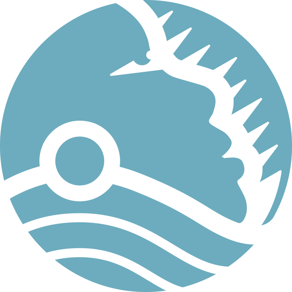 Drifting Png (1000x1000), Png Download