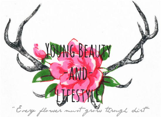 Young Beauty Lifestyle - Protea (1200x400), Png Download
