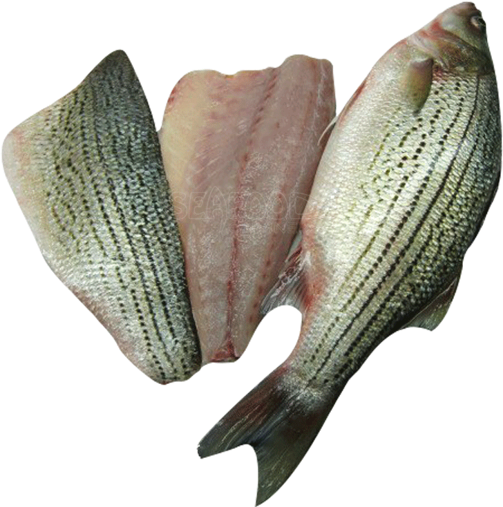 Striped Bass Whole By Lb - Striped Bass (750x750), Png Download