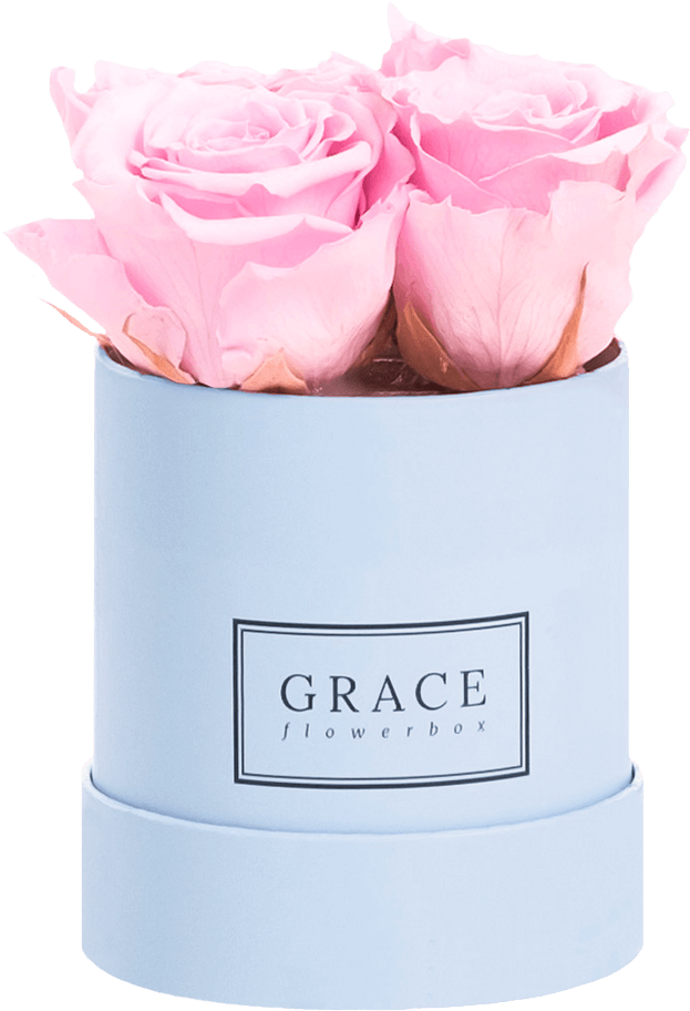 Grace Flowerbox 1 Rose (865x1200), Png Download