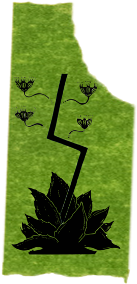 Leaf Village Symbol Png (1000x1294), Png Download