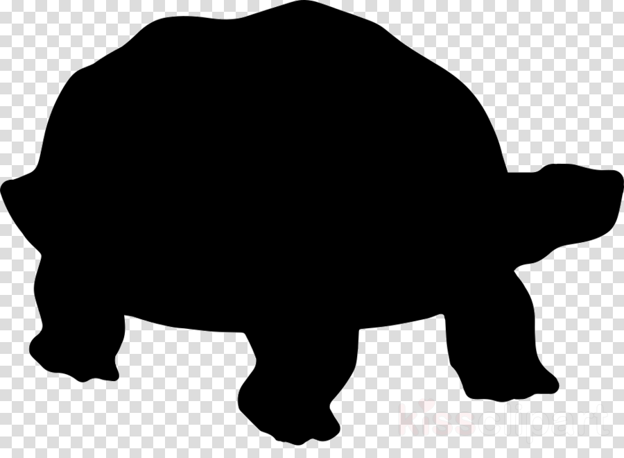 Png Record Vinyl Hd (900x660), Png Download